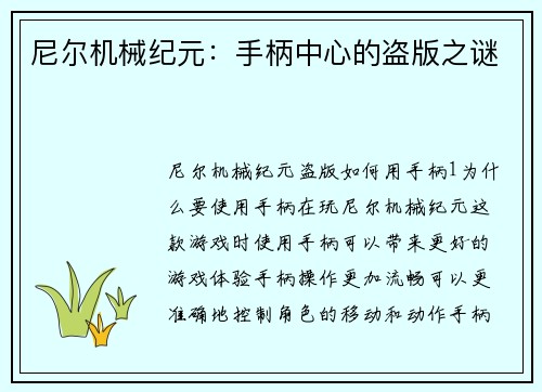 尼尔机械纪元：手柄中心的盗版之谜